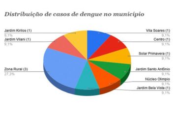 Distribuição de casos de dengue no município
