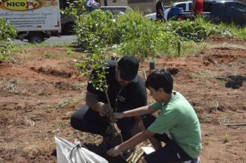 Foto - Plantio - Fruto Urbano